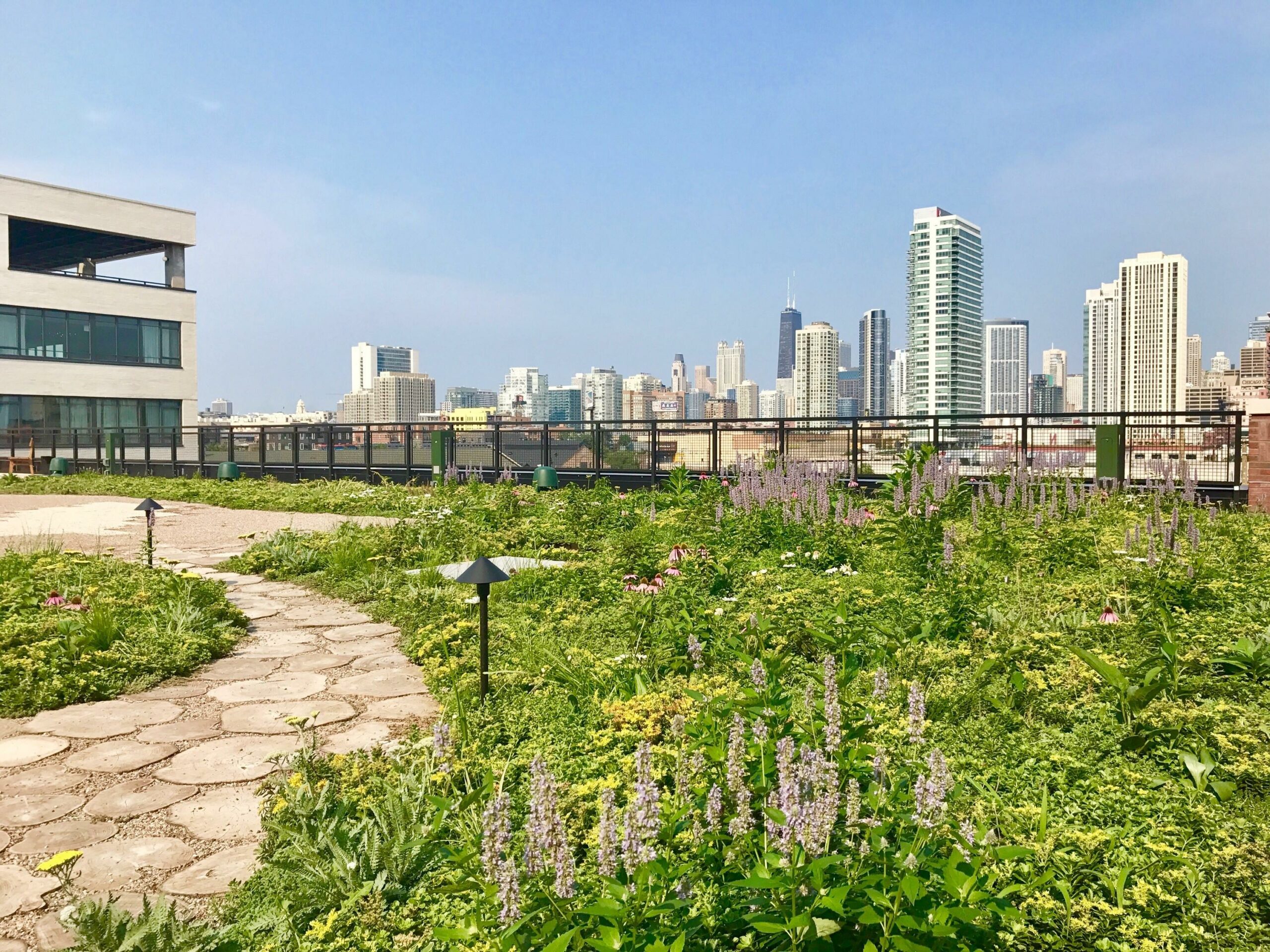 7 reasons why Australia needs more green roofs