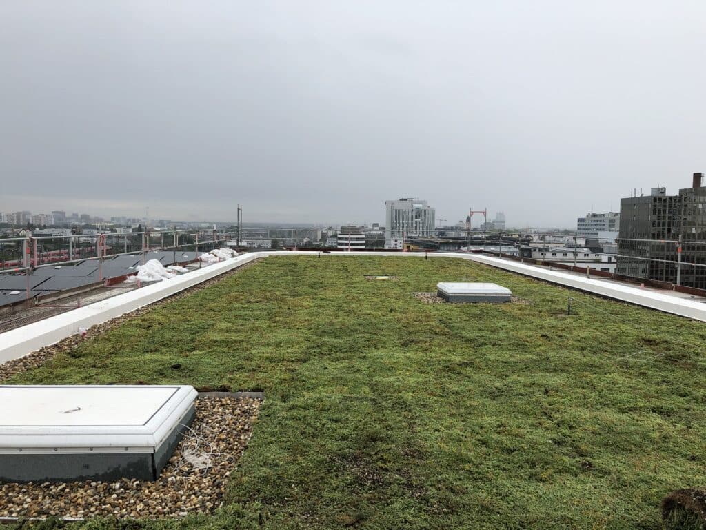 Rooftop Gardens: How Much Impact do Green Roofs Actually Have?