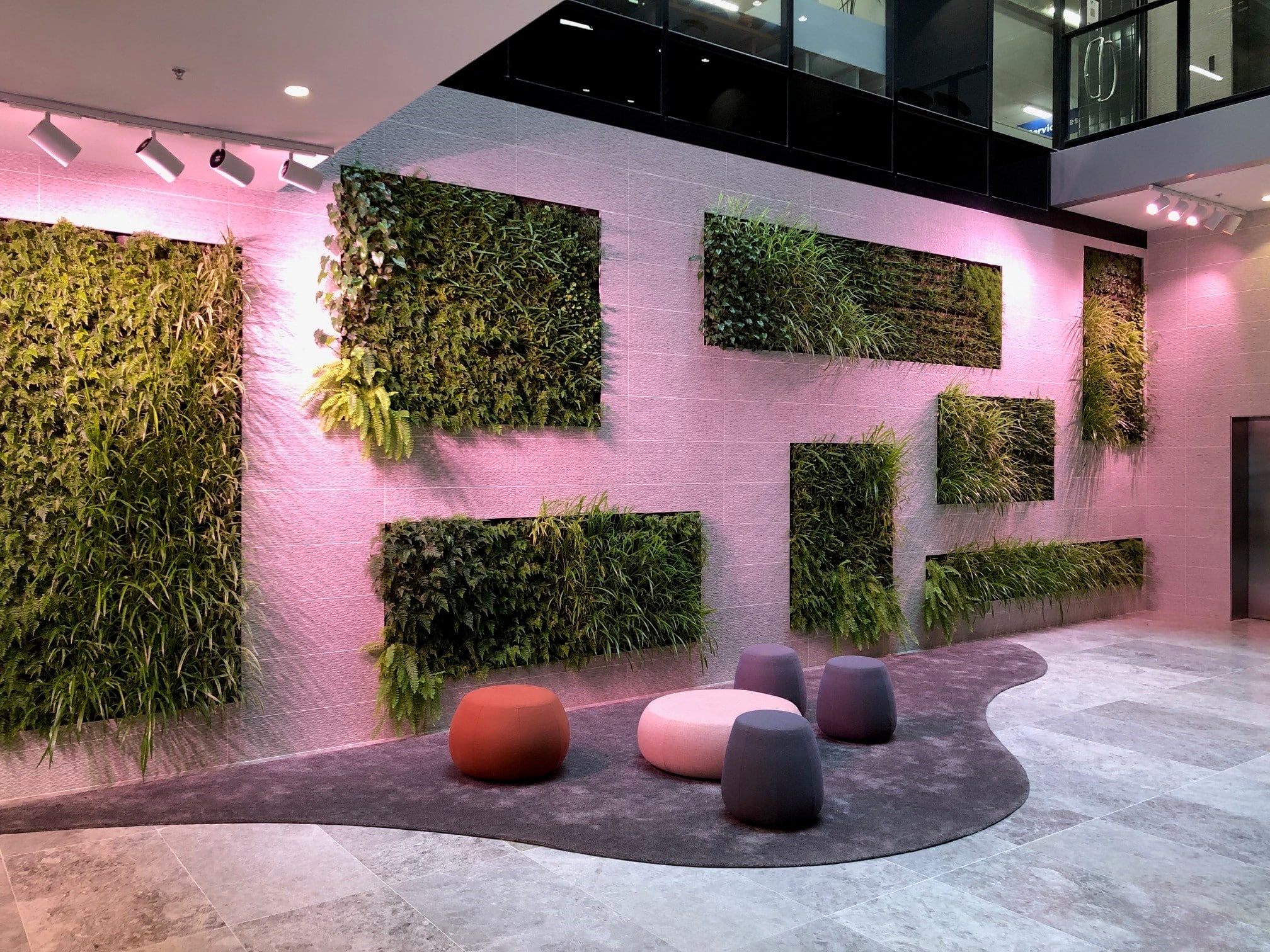 Indoor vertical garden | Melbourne, VIC