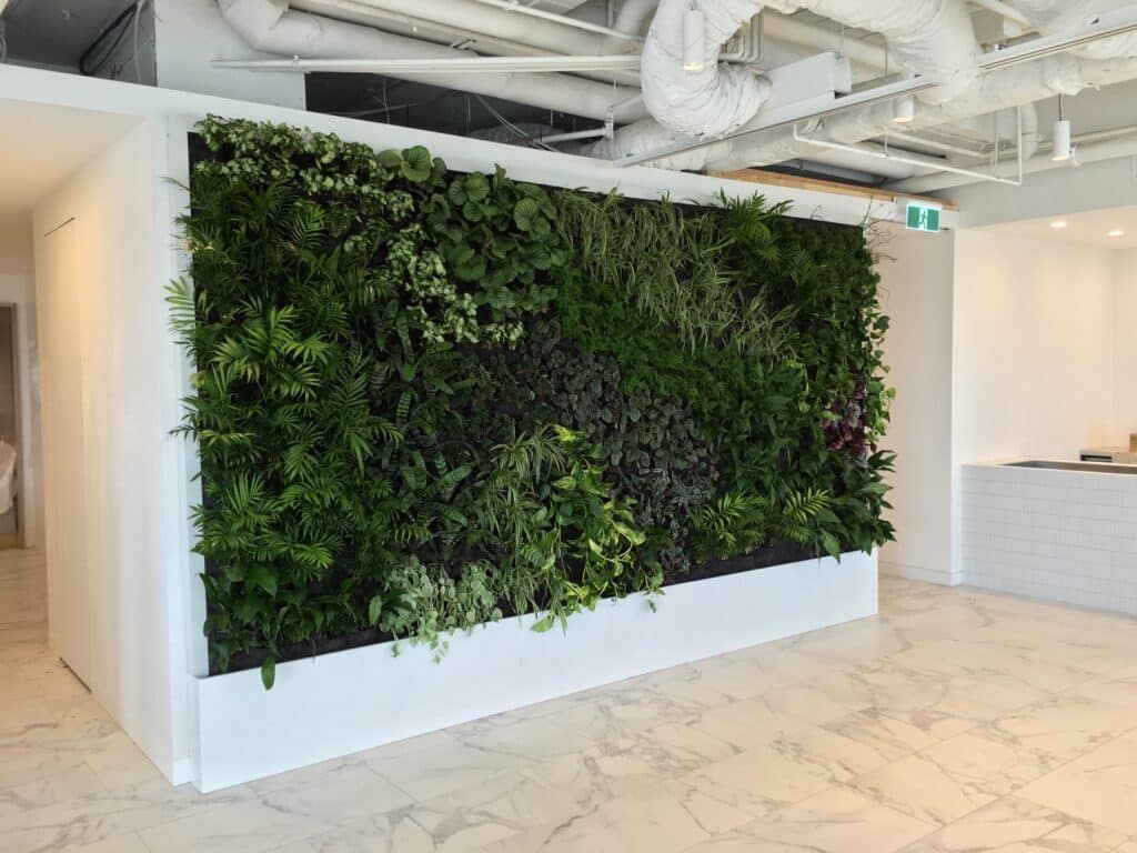 Vertical gardens Australia