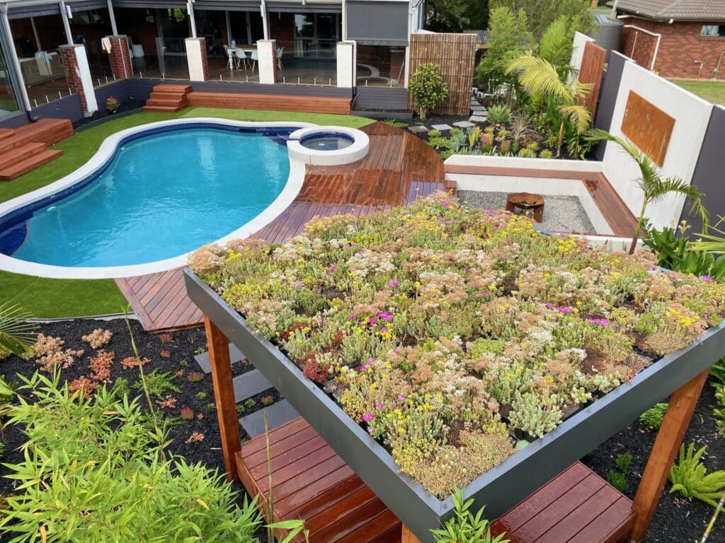 Click 'n Go sedum trays for an instant green roof in Australia