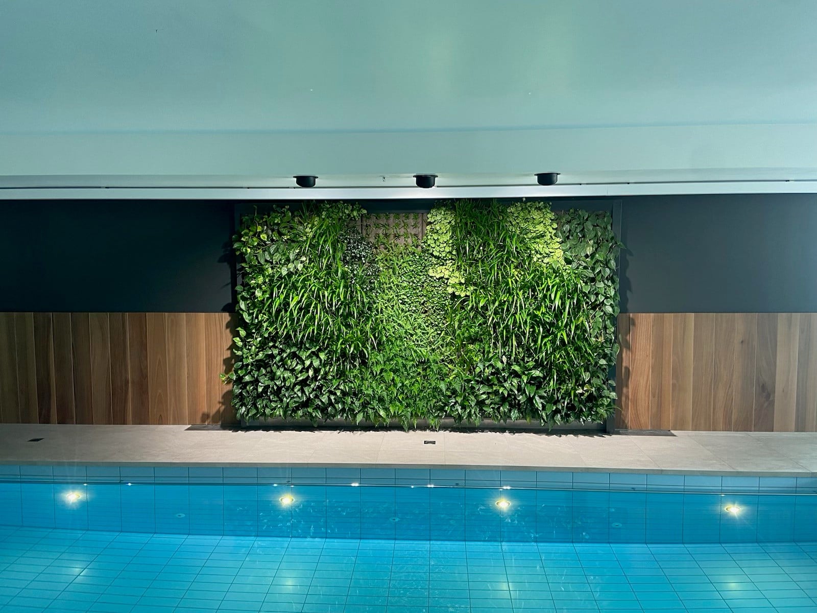 Poolside indoor green wall