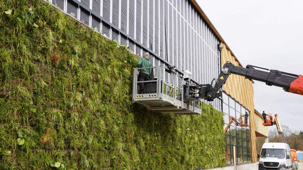 Picture of From gray to green | Smart renovation by Sempergreen