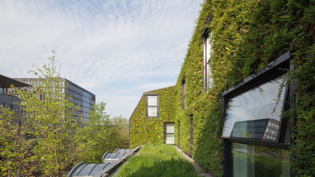 Green roof and wall city