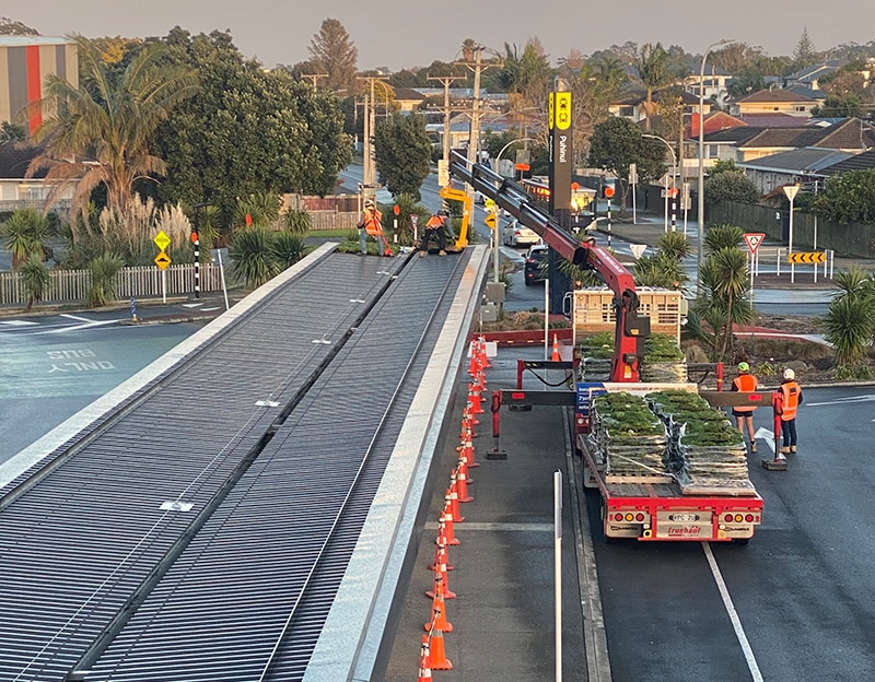 Green roof Puhinui Station Auckland before