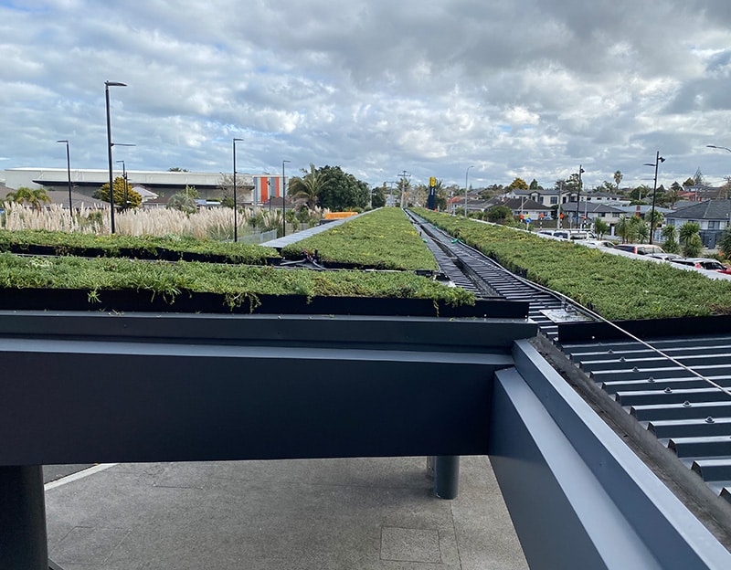 Green roof Puhinui Station Auckland side