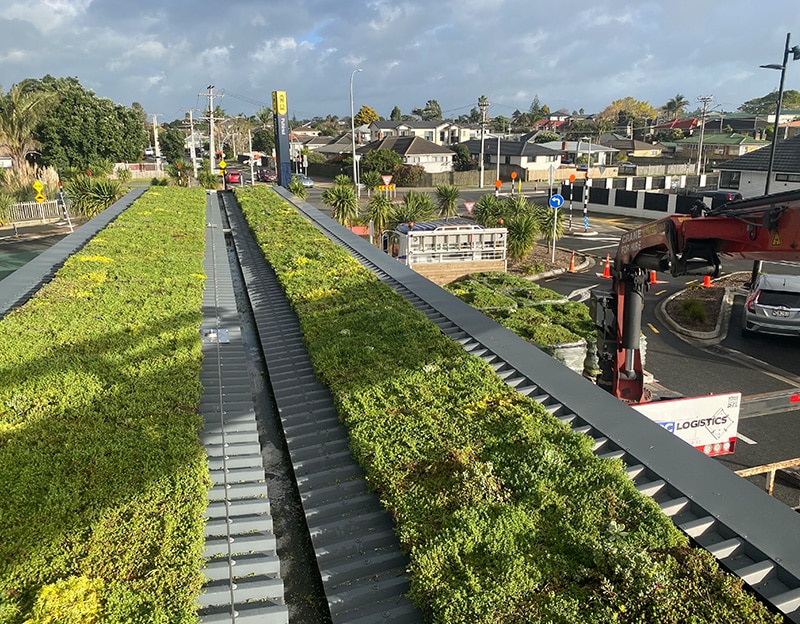 Green roof Puhinui Station Auckland closeup