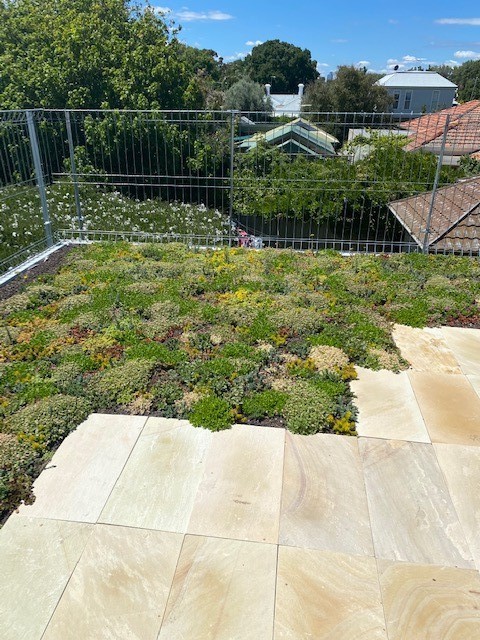 Green view from the balcony
