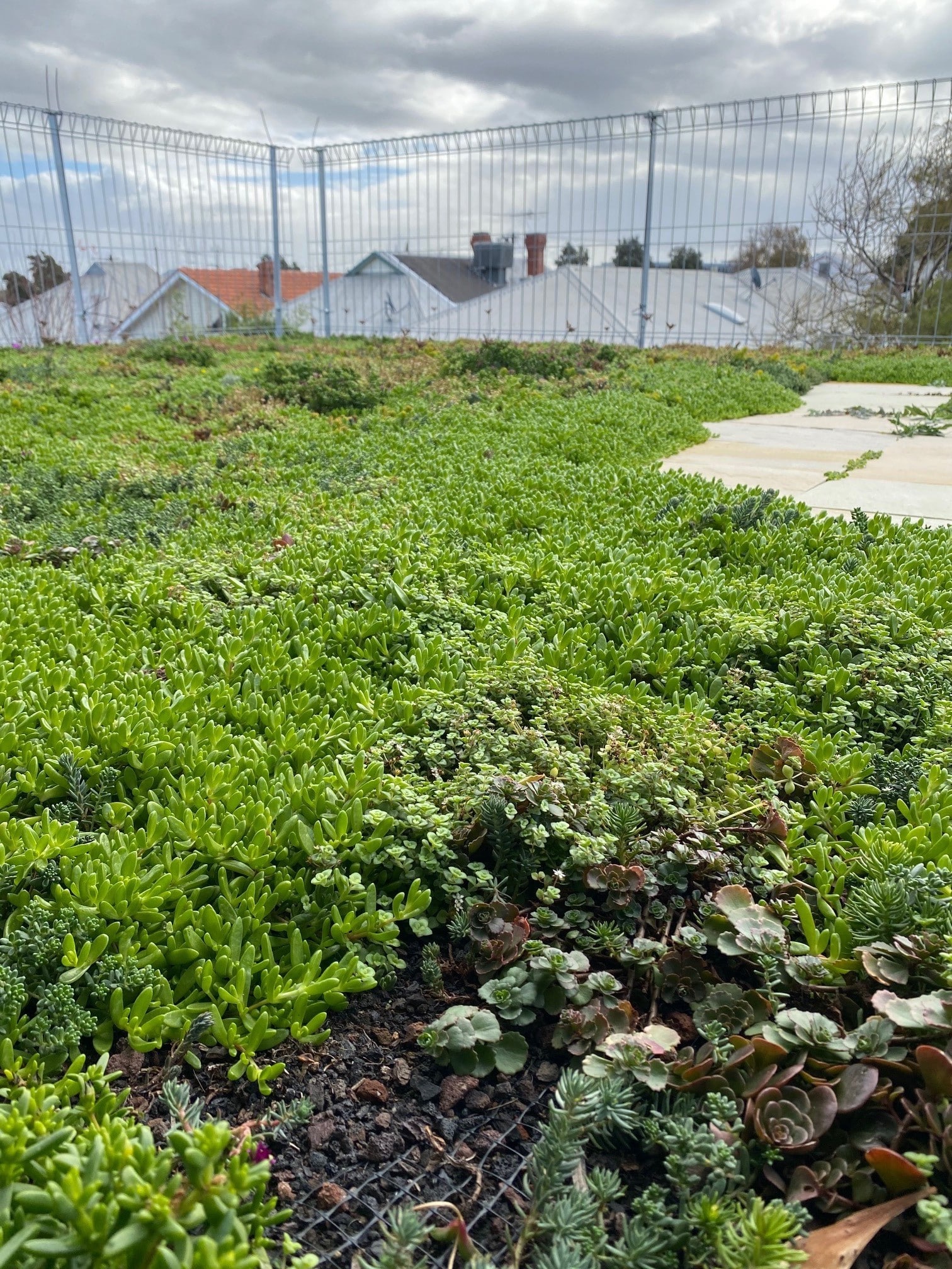 Green view from the balcony