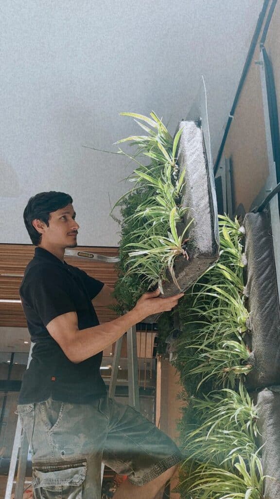 Indoor vertical garden