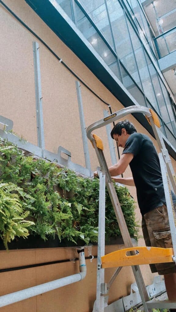 Indoor vertical garden