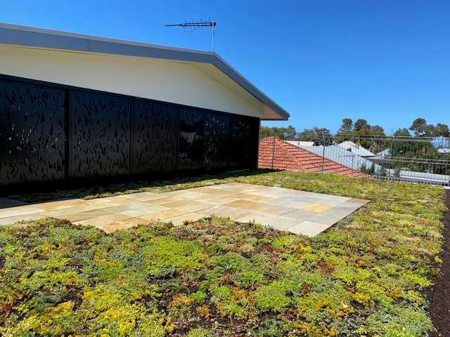 Sempergreen Australia