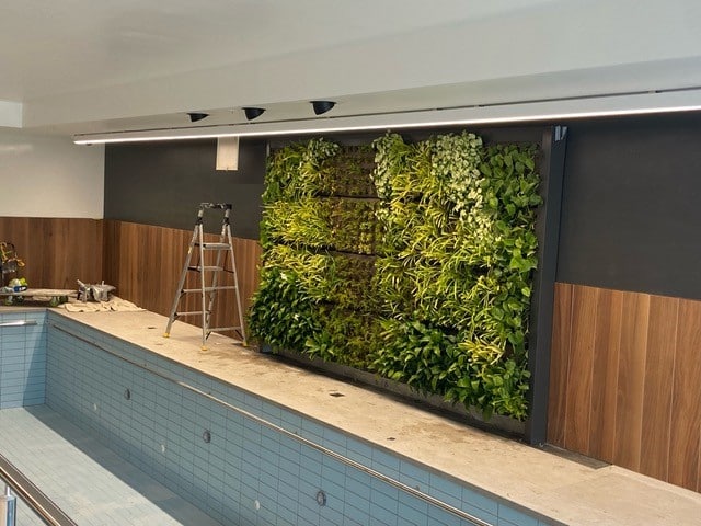 indoor green wall