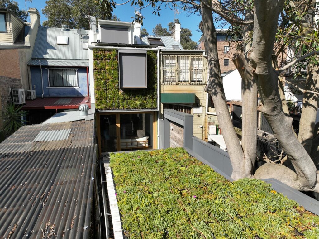 Nick Bell Architect green roof and SemperGreenwall
