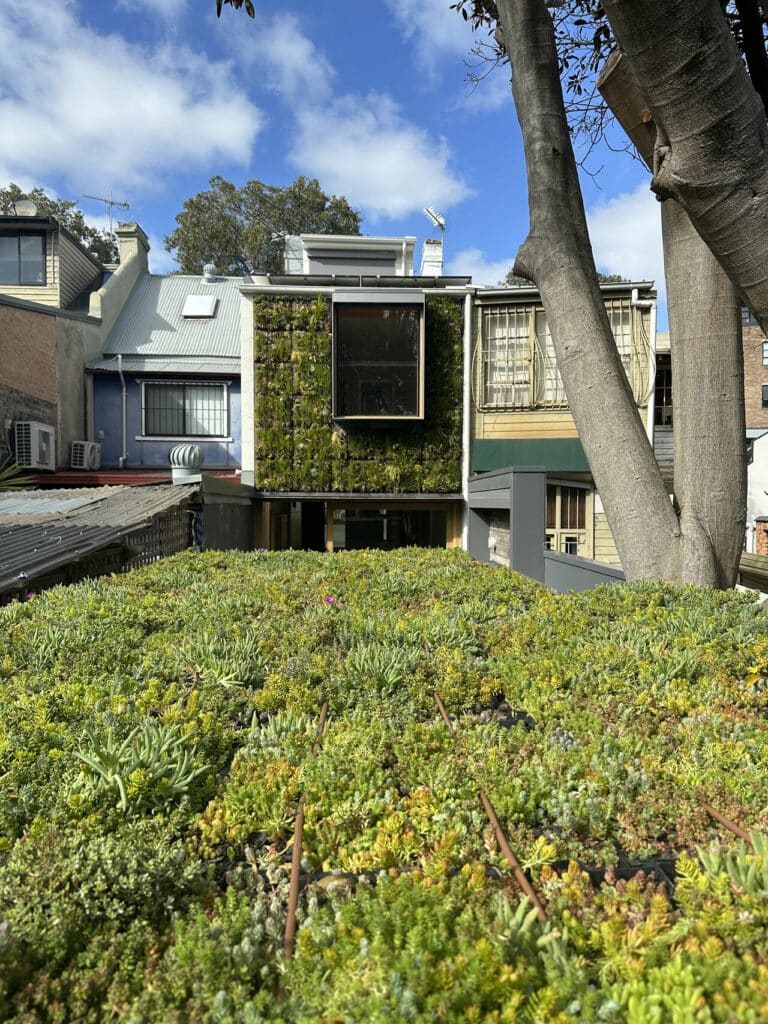 Nick Bell Arcitects green roof and green wall