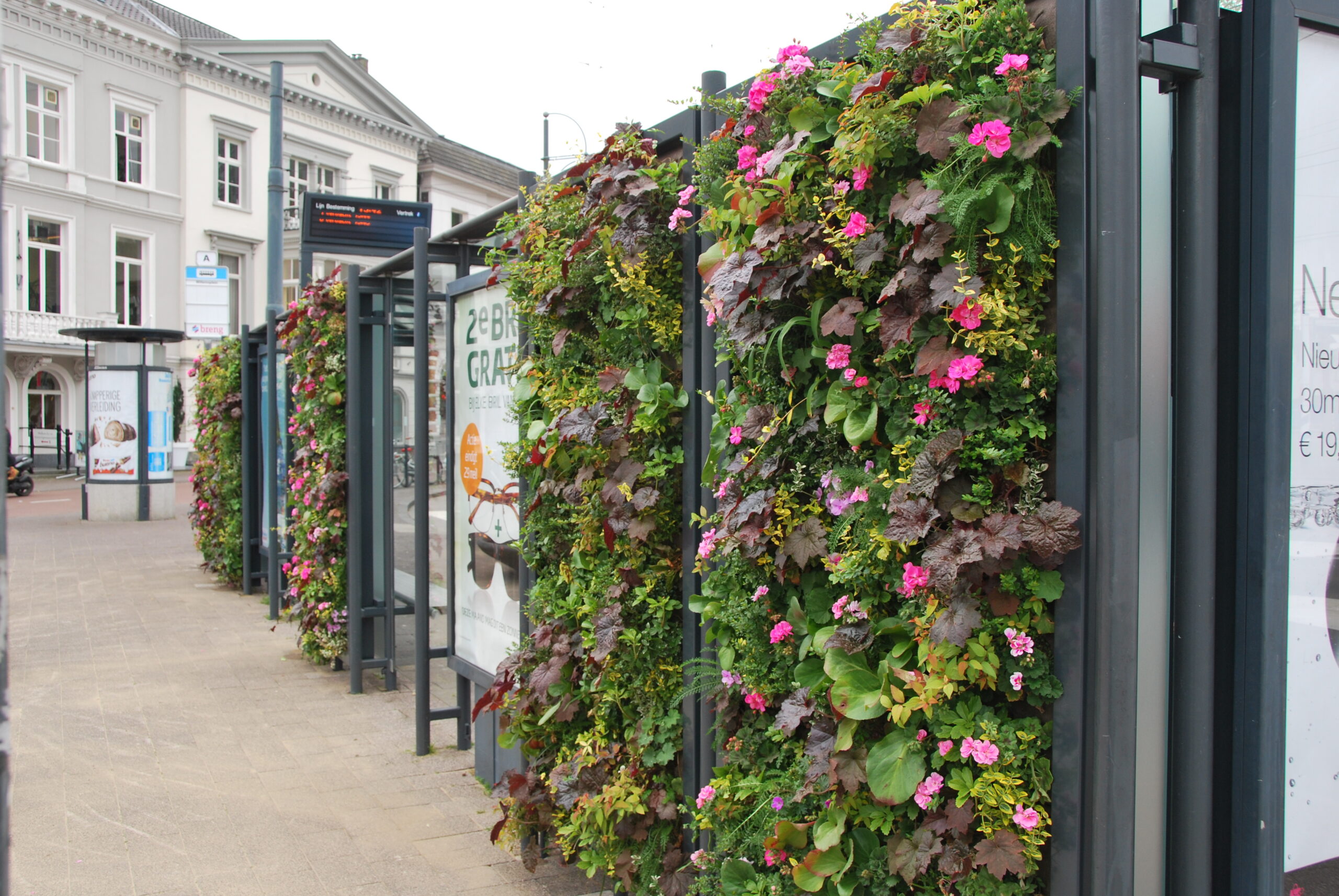 Living Wall in winter