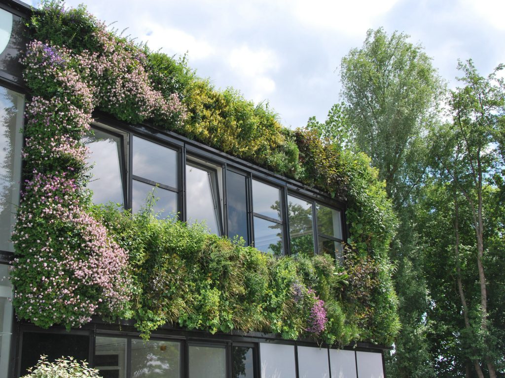 Living Wall in winter