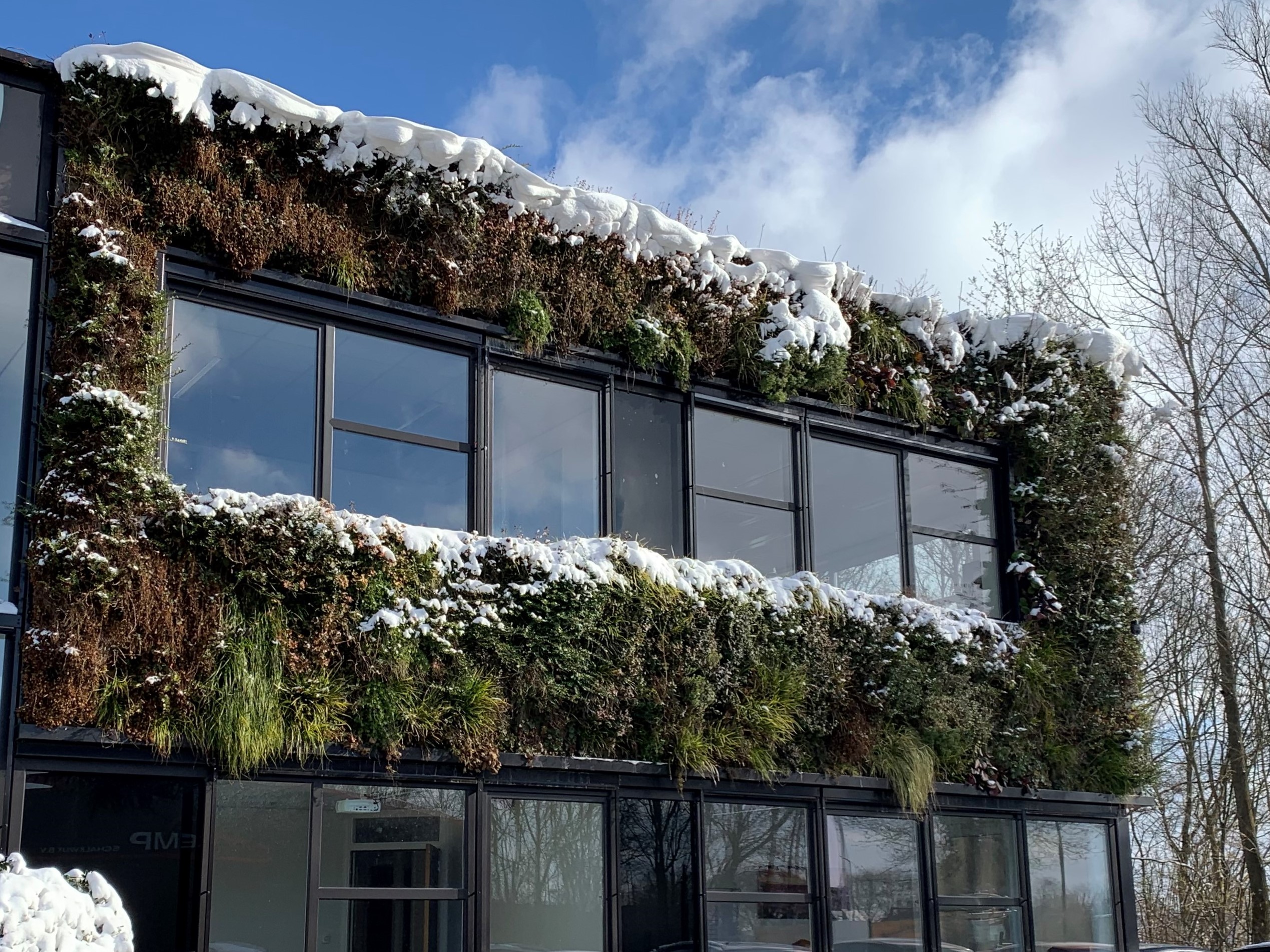 Living Wall in winter