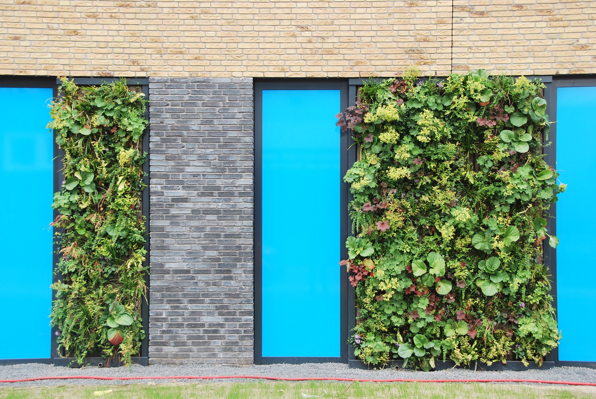 Living Wall in winter