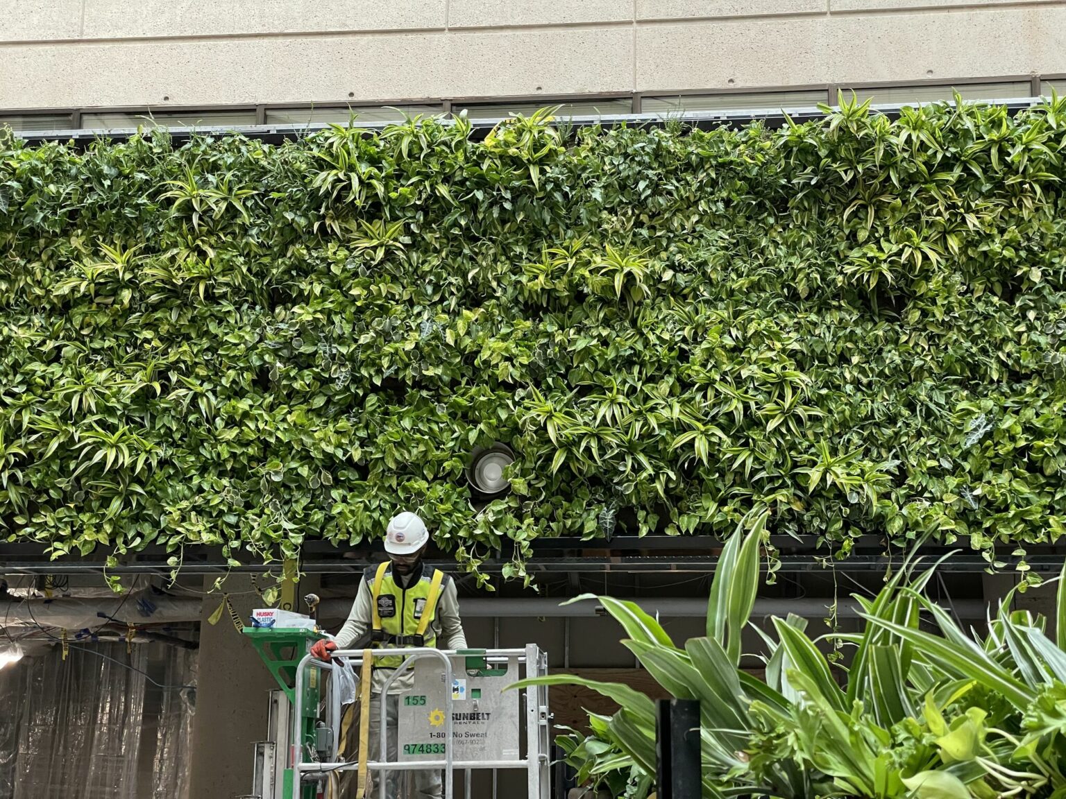 Green Wall International Square