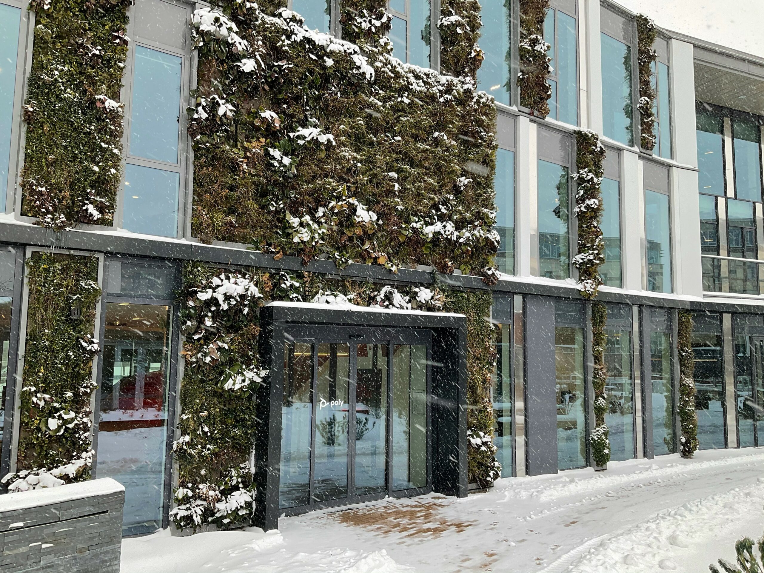 Living Wall in winter