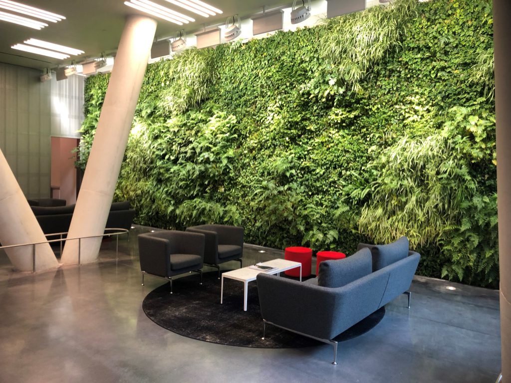 SemperGreenwall in the USA