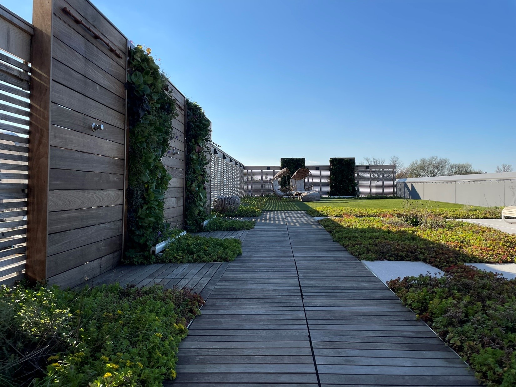 How to turn your grey, gravelly supposed to be green roof into a lush green roof again? | Alexandria, VA