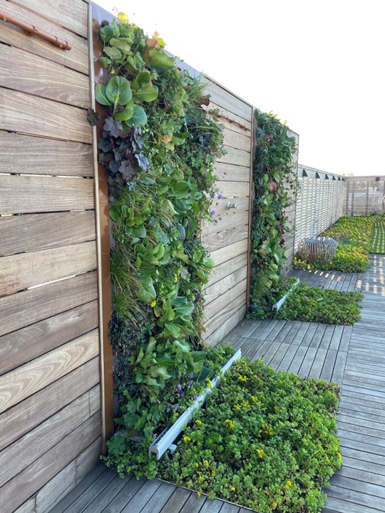 How to turn your green roof into a lush green roof again?