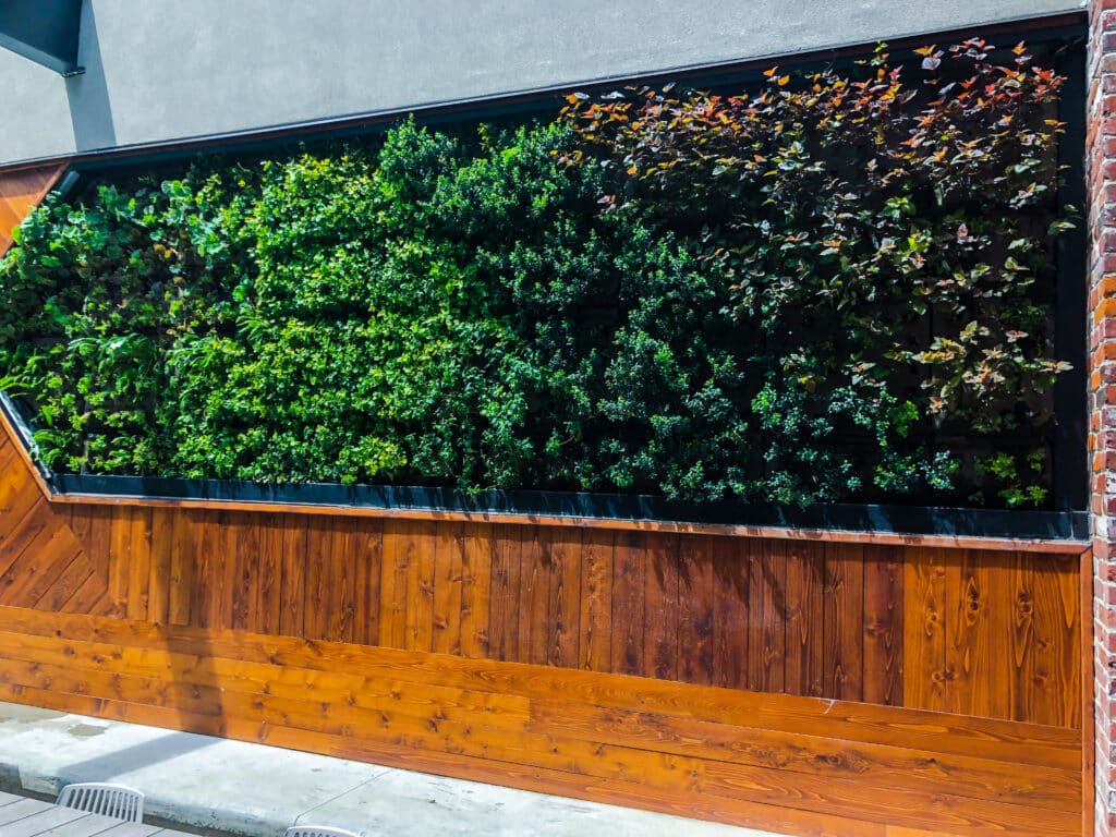 Green Wall maintenance