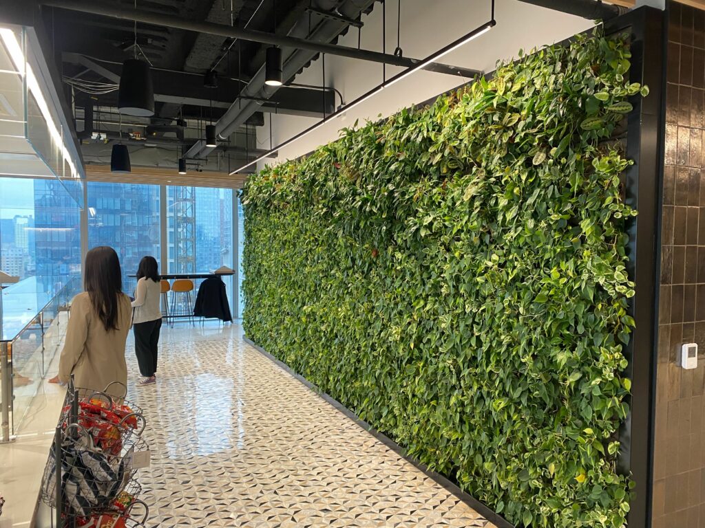 Green wall pfizer