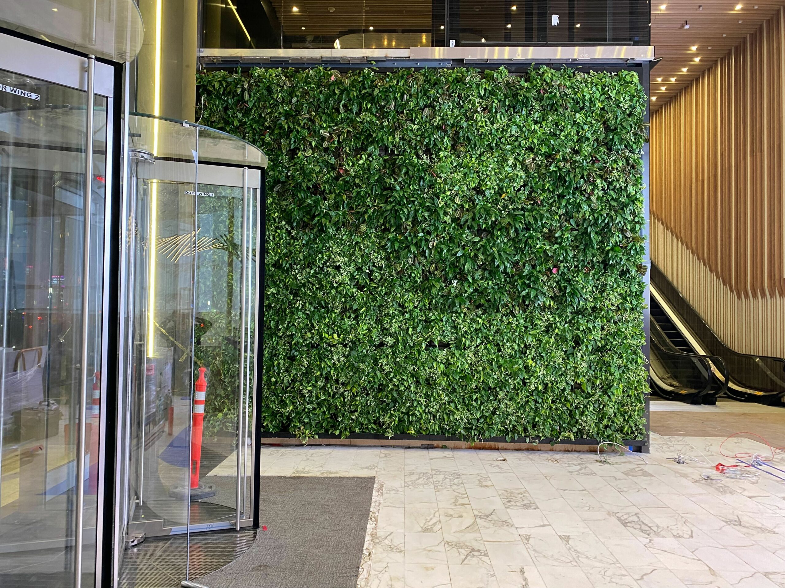 Green wall pfizer