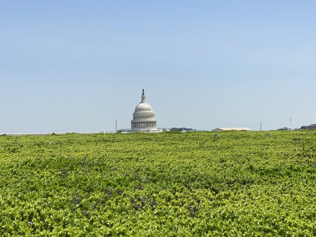 Green solutions in the United States