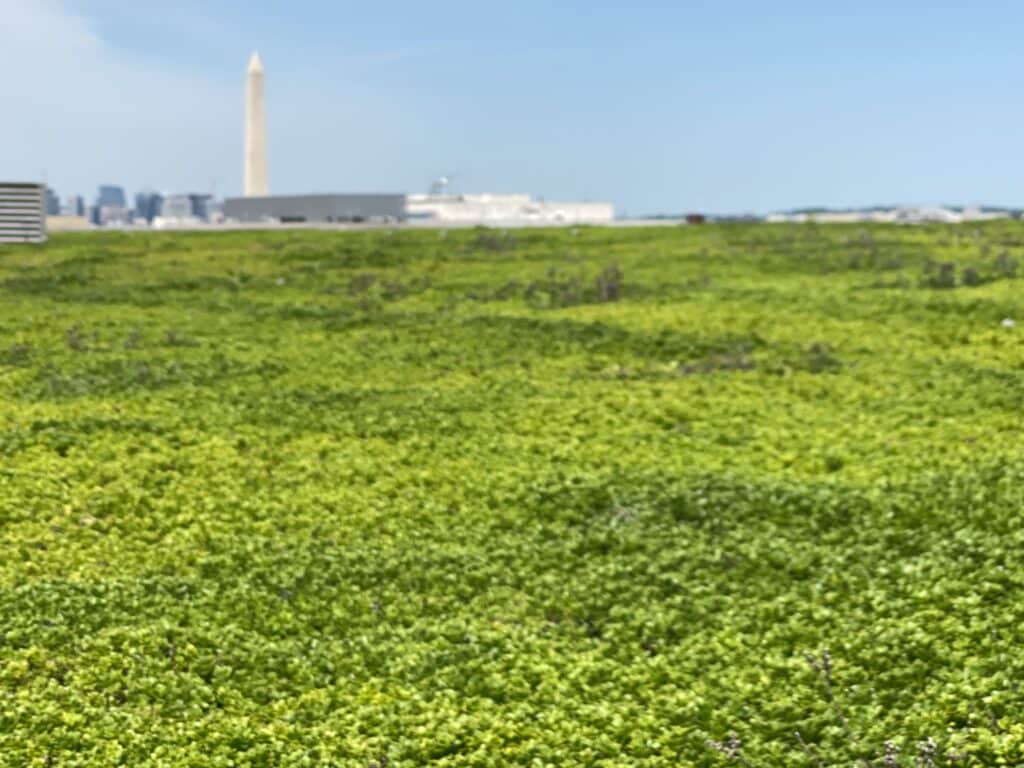 Green solutions in the United States