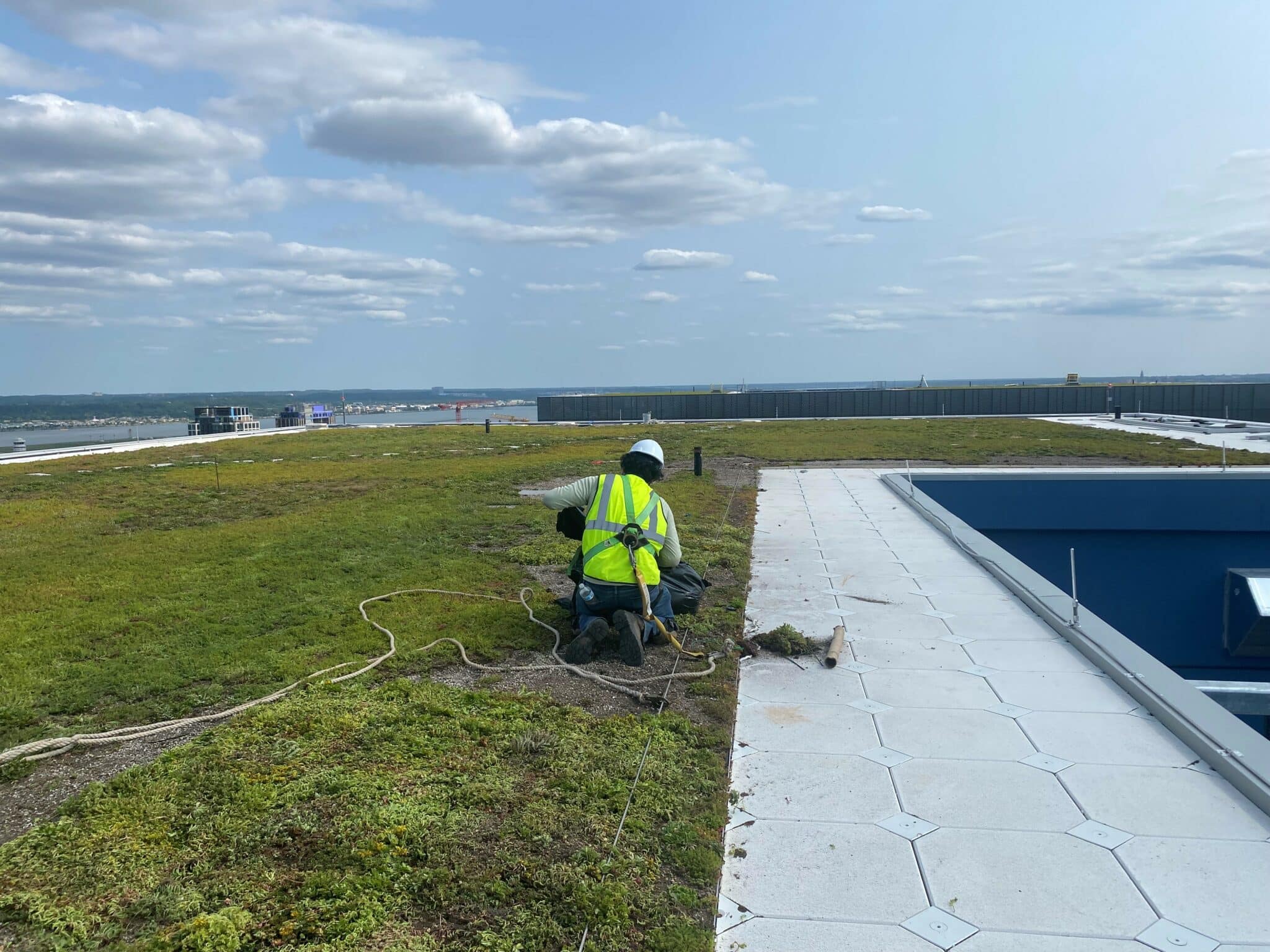 Green roof systems: A solution for Urban Environments - Sempergreen USA