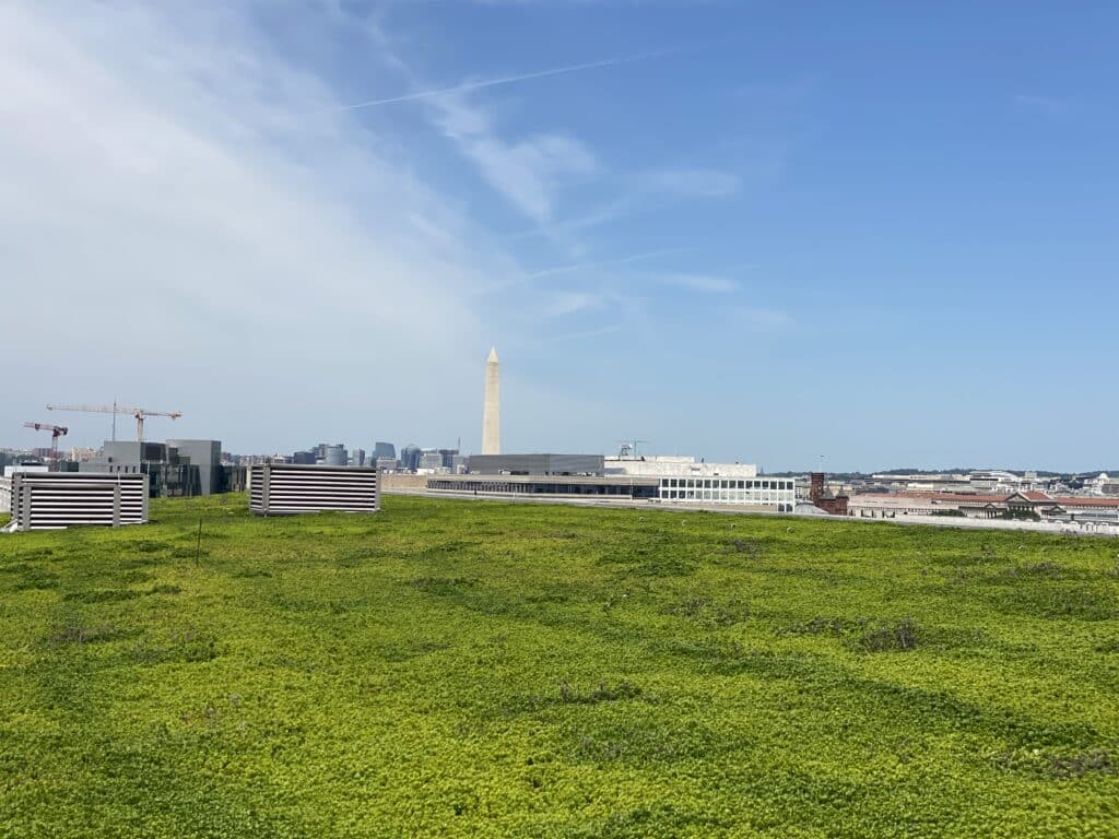 Green roofing