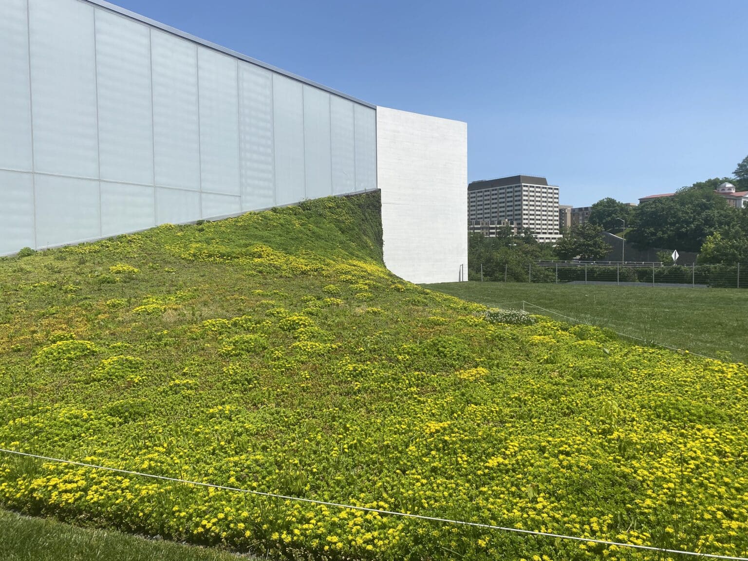Picture of Green roof systems: A solution for Urban Environments - Sempergreen USA