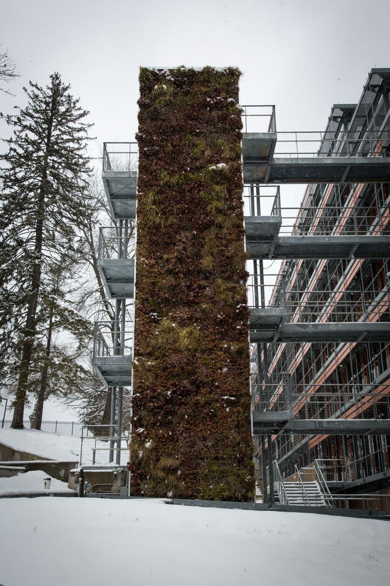 Vertical gardens: The future of Urban Green Spaces - Sempergreen