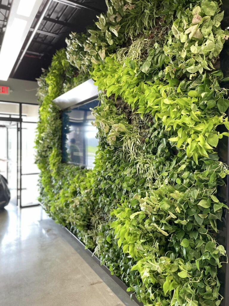 indoor plant wall