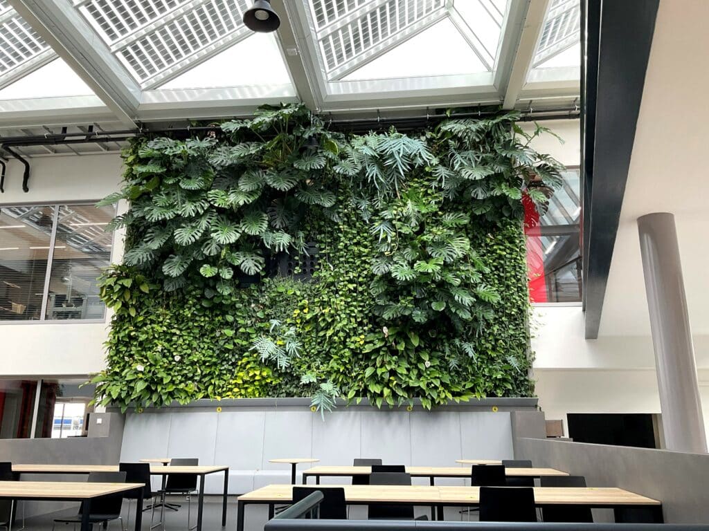 indoor plant wall