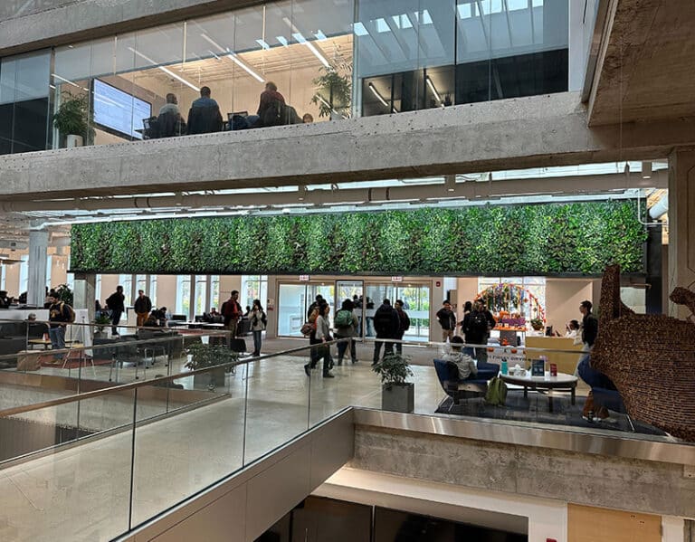 Vertical gardens: The future of Urban Green Spaces - Sempergreen